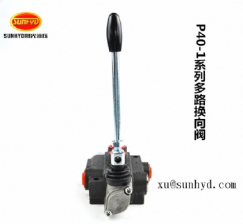 HYDRAULIC DIRECTIONAL CONTROL VALVE